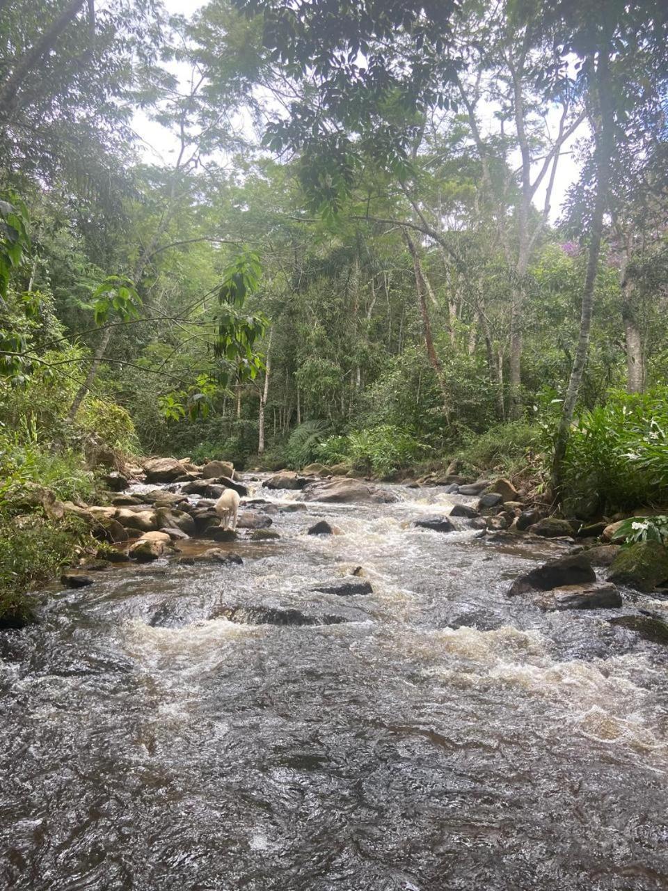 Pousada Rural E Pesqueiro Chale Da Serra Conceição da Ibitipoca Exterior foto